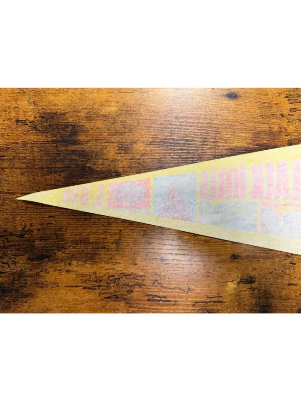 Vintage Black Hills, South Dakota pennant